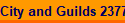 City and Guilds 2377
