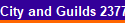 City and Guilds 2377