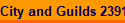 City and Guilds 2391-50/51
