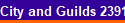 City and Guilds 2391-50/51