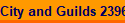 City and Guilds 2396