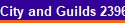 City and Guilds 2396