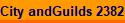 City andGuilds 2382-18
