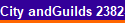 City andGuilds 2382-18